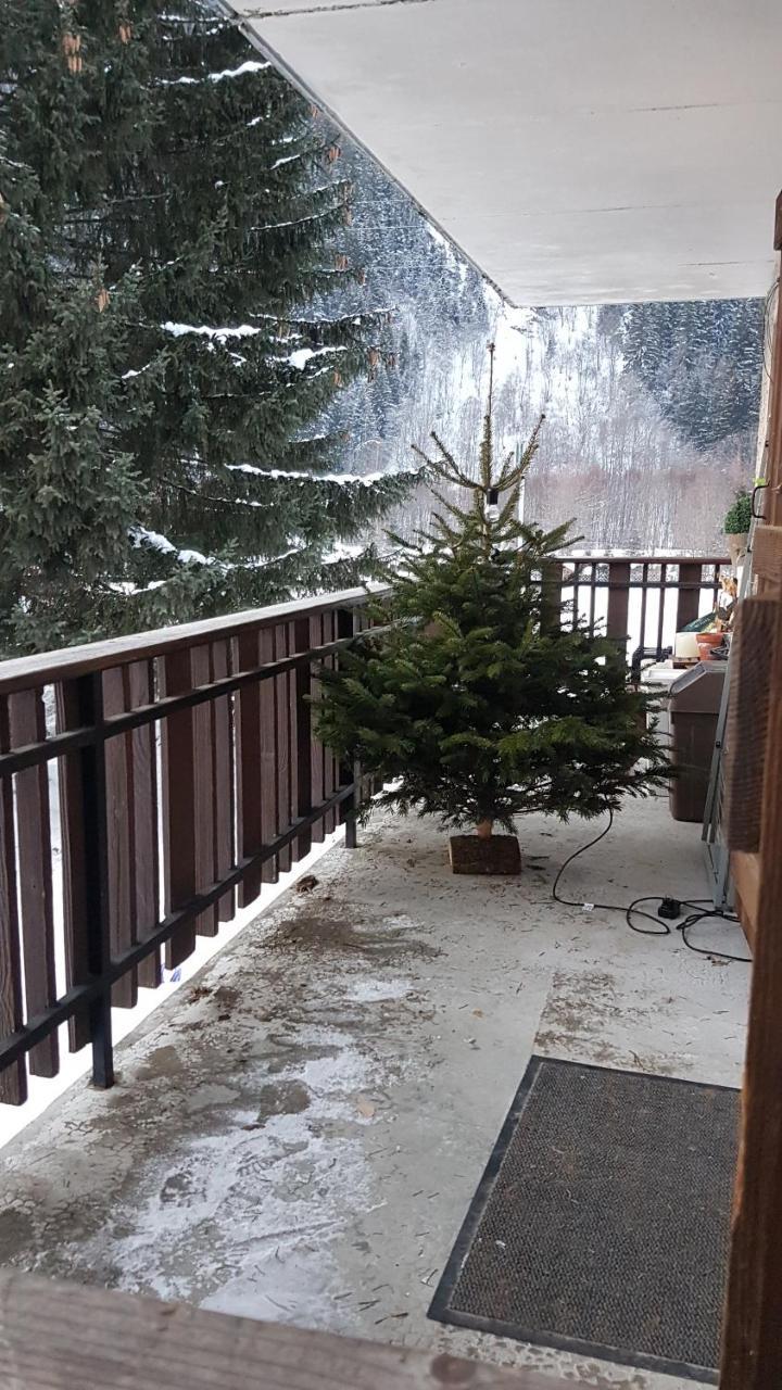 Appartement Native 샤모니 외부 사진